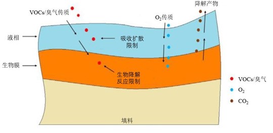 工業(yè)污水廢氣特點及惡臭治理技術